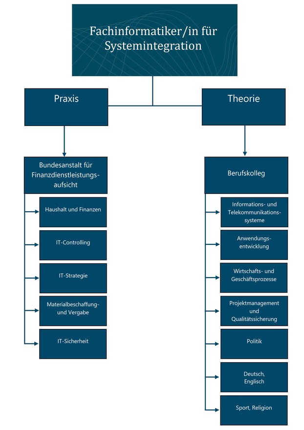 Graphische Darstellung der Ausbildungsstation der Fachinformatiker/innen für Systemintegration.